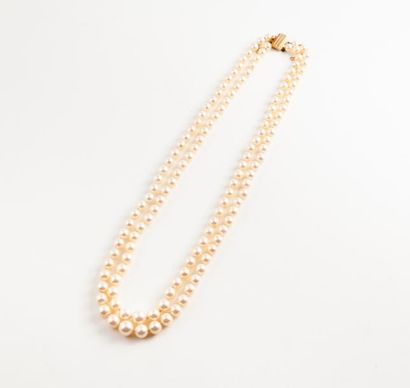 Collier à deux rangs de perles de culture...