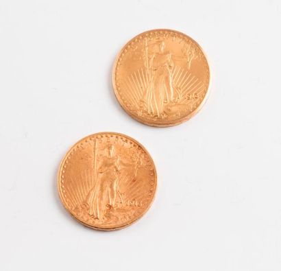 ETATS UNIS

Deux pièces de 20 dollars or...