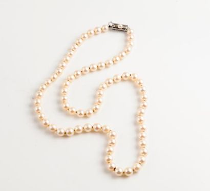 Collier de perles de culture blanches choker....