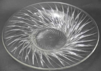 René LALIQUE, Algues


Coupe plate circulaire...