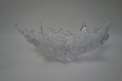 LALIQUE France, Champs-Elysées


Coupe à...