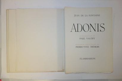 Jean de La FONTAINE - TREMOIS


Adonis. 

Flammarion,...