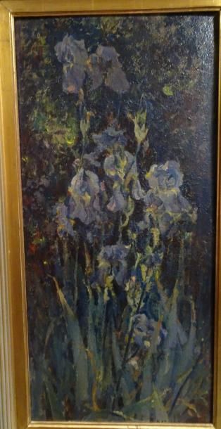 Michel KOROCHANSKY (1866-1925)


Iris mauves.

Huile...