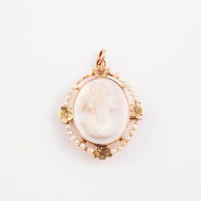 Broche pendentif en ors (750) de deux tons...