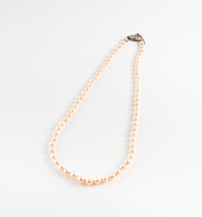 Collier de perles de culture blanches en...