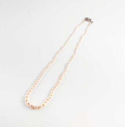 Collier de perles de culture blanches en...