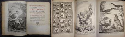 Antoine-Joseph DEZALLIER D'ARGENVILLE 


L'Histoire...