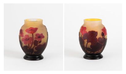 Etablissements Emile GALLE


Petit vase à...