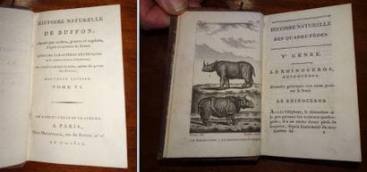 Georges-Louis Leclerc, comte de buffon (1707-1788)


Histoires...
