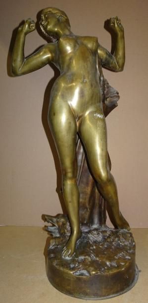 D'après BASTET (1853-1905)


Femme nue debout,...