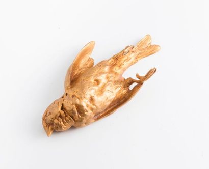Paul COMOLERA (1818-1897).


Moineau mort.

Epreuve...