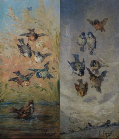 Attribuées à Georges APPERT (1850-1934) 


Oiseaux...