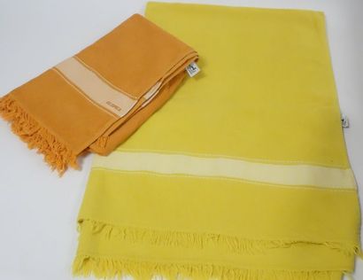 HERMES Paris


Lot comprenant : 

- Drap...