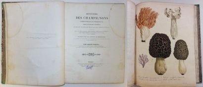 Joseph ROQUES (1757-1847).


Histoire des...