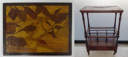Petit meuble de salon, formant porte-revues...