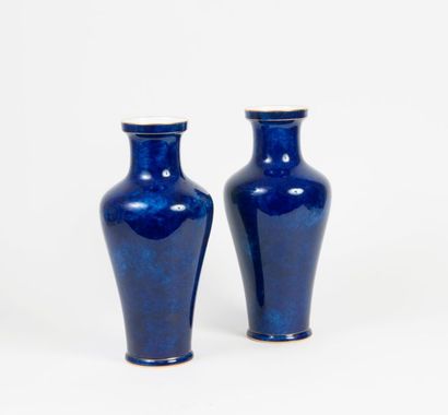 SÈVRES


Paire de vases balustre en porcelaine...