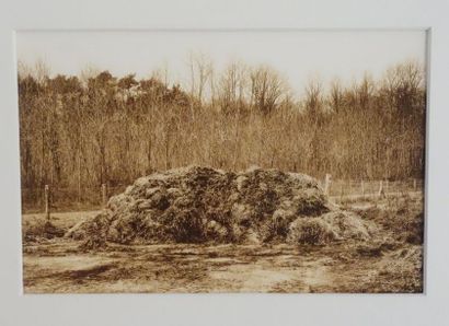 Philippe GRONON (1964) 


Sans titre.

Tirage.

10...