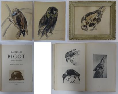 Raymond BIGOT (1872-1953)


Chouette et rapace...