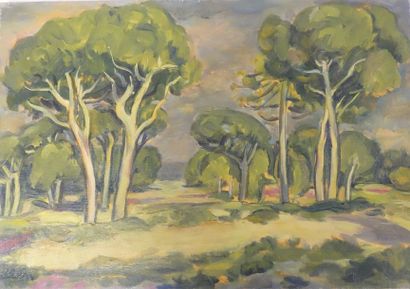 Michel ADLEN (1898-1980)


La pinède. 

Huile...