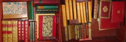 Deux mannettes de livres sur différents sujets...