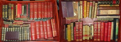 Deux mannettes de livres sur la littérature...