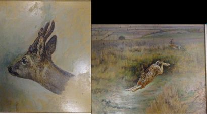 Édouard Paul MERITE (1867-1941)
Tête de chevreuil....