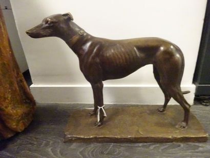 Georges MALISSARD (1877-1942)


Chien lévrier....