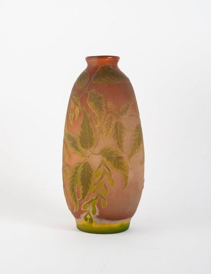 ÉTABLISSEMENTS GALLÉ


Vase sur talon de...