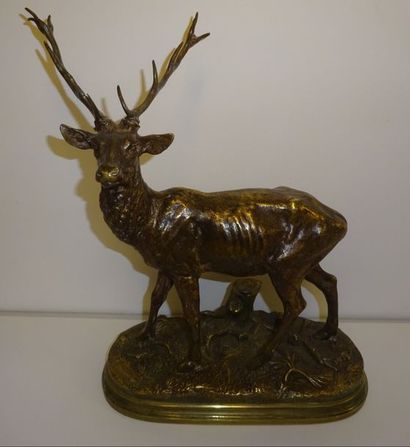 D'après Alfred DUBUCAND (1828-1894)


Cerf....