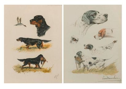 Léon DANCHIN (1887-1938)


Etude de setter.

Lithographie...