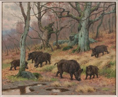 Georges Frédéric ROTIG (1873-1961)
Sangliers...