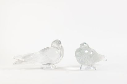 LALIQUE FRANCE

Couple de pigeons : « pigeon...