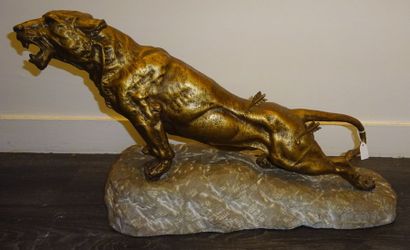 D'après Georges OMERTH (act.1895-1925) 


Tigre...