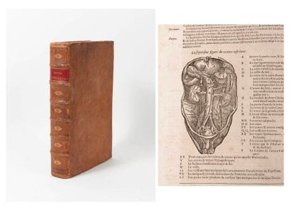 Ambroise PARÉ


Les oeuvres.

12ème édition,...