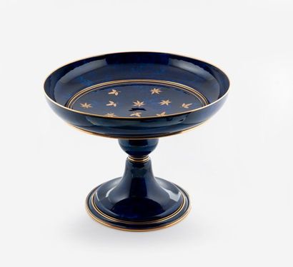 Manufacture de SEVRES, fin du XIXème siècle.


Grande...