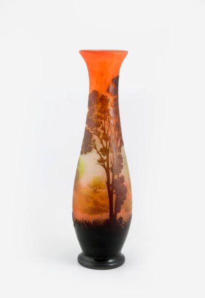 ÉTABLISSEMENTS GALLÉ


Vase balustre sur...