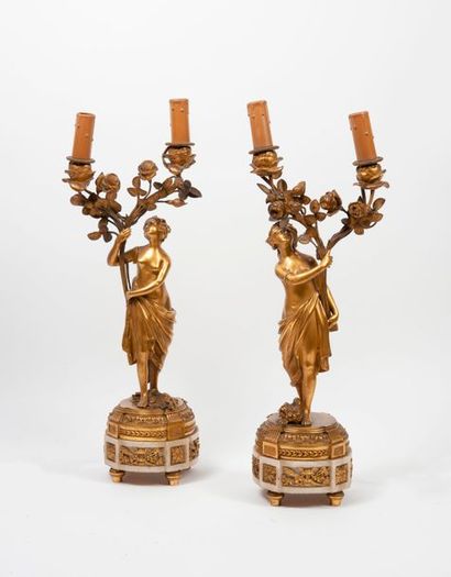 Paire de candélabres en bronze doré, à deux...