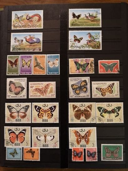 TOUS PAYS Thématiques OISEAUX, FELINS


Petite...