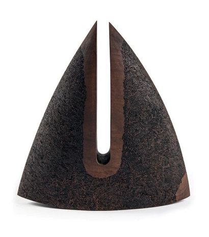MARTENON Thierry (né en 1967)
Triangle divisé...