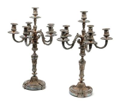 Paire de candélabres en bronze argenté à...