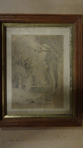 Charles LEROUX (XIXème siècle)


Clairière.

Dessin...