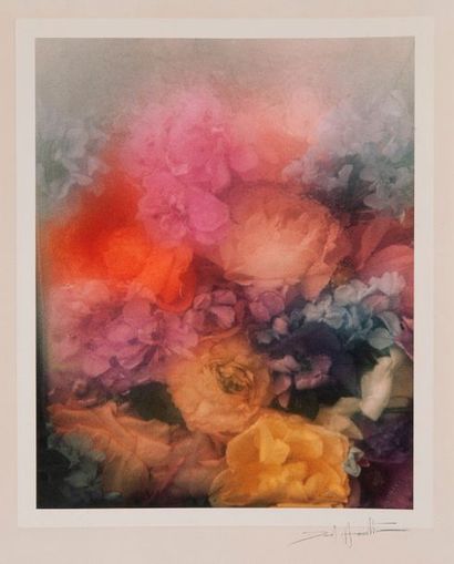 DAVID HAMILTON (1933-2016)


Fleurs. 

Tirage...