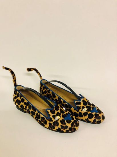 CHATELLES 


Paire de ballerines en poulain...
