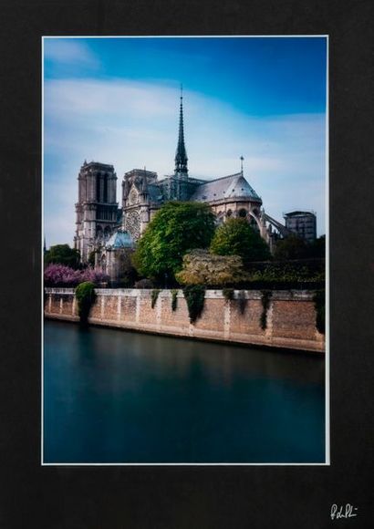 SERFATI Florent 


Notre Dame. Un jour avant....