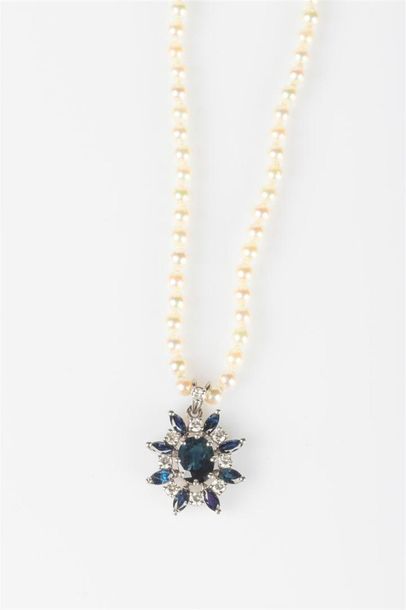 Petit collier de perles de culture choker...
