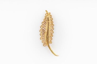 Broche plume en or ajouré. Années 1950-60....