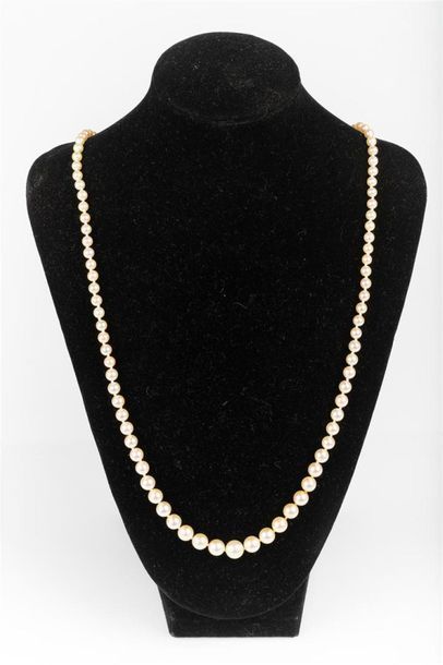 Collier de perles de culture en chute (diamètre...