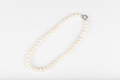 Collier chocker de 43 perles de culture d'eau...