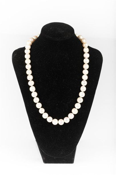Collier chocker de 43 perles de culture d'eau...