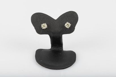 Paire de boutons d'oreilles en or gris serties...